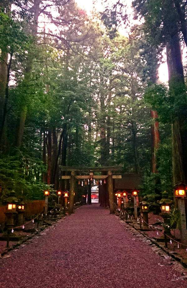 Blessed Spot in Mie] 椿大神社 | NOA YOSHI 酋長のアロハ日記